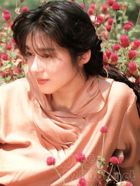 青山知可子是谁 她嫁人了没有预览图