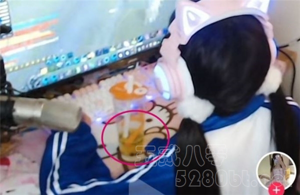 赛高兔19万金是什么瓜 赛高兔长什么样预览图