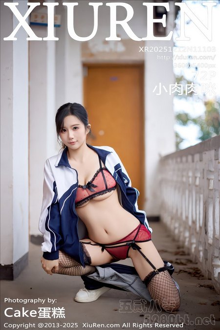 [XIUREN秀人网]2025.12.12 VOL.11103 小肉肉咪[72+1P／787MB]预览图